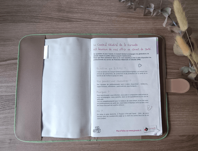 Carnet de santé " Le petit lion courageux"