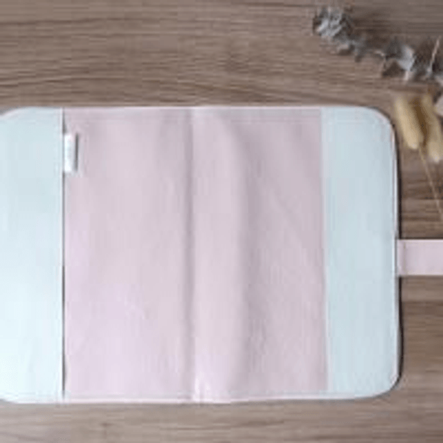 Carnet de santé " La gardienne des cygnes " 