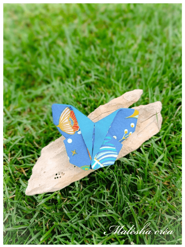 Barrette papillon